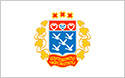 Чебоксары флаг