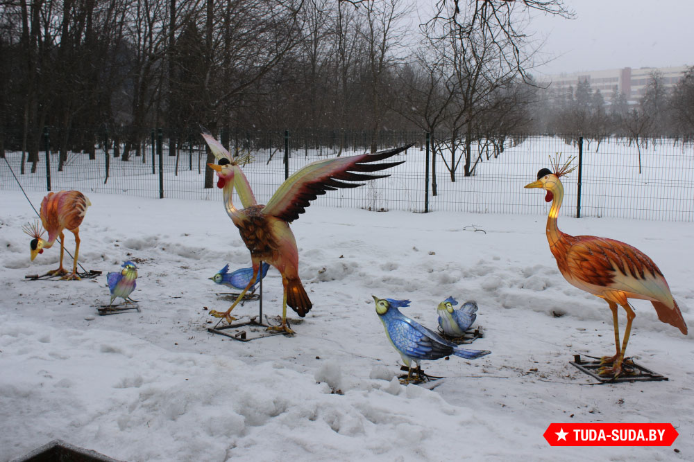 festival-gigantskikh-kitayskikh-fonarey-v-botanicheskom-sadu