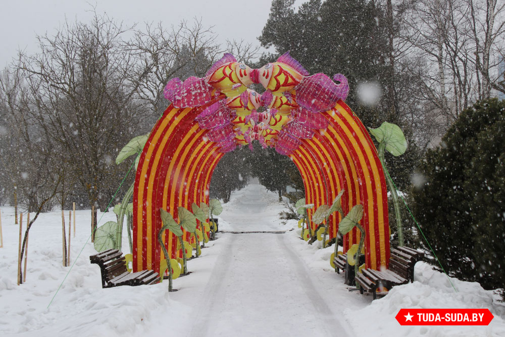 festival-gigantskikh-kitayskikh-fonarey-v-botanicheskom-sadu