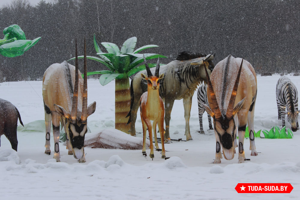 festival-gigantskikh-kitayskikh-fonarey-v-botanicheskom-sadu