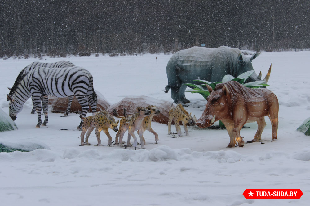 festival-gigantskikh-kitayskikh-fonarey-v-botanicheskom-sadu