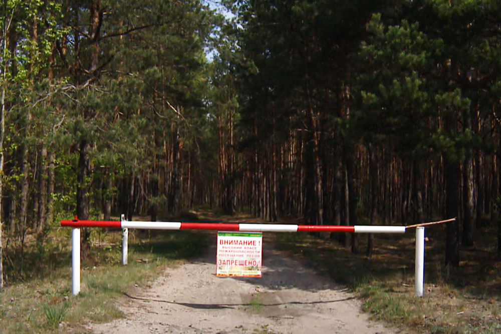 Запрет на посещение лесов в Беларуси