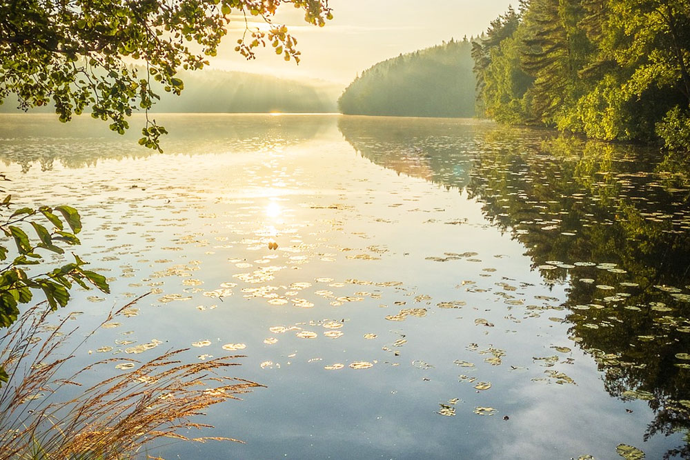 Погода в Беларуси