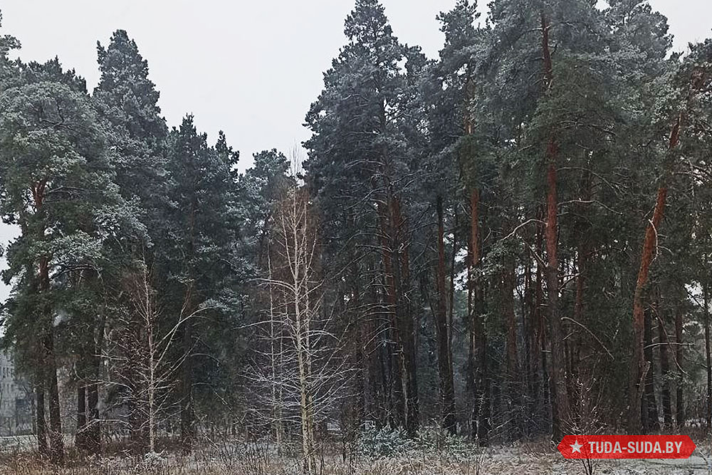 Погода в Беларуси