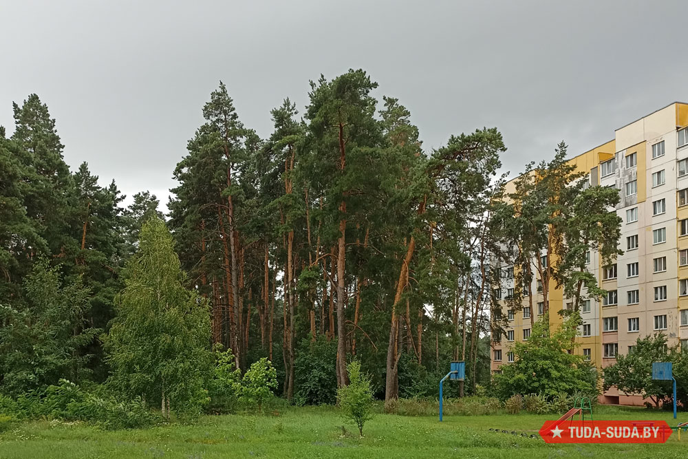 Погода в Беларуси