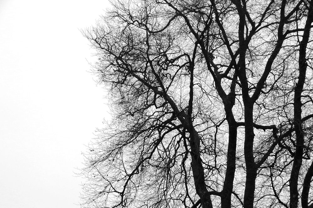 Погода в Беларуси