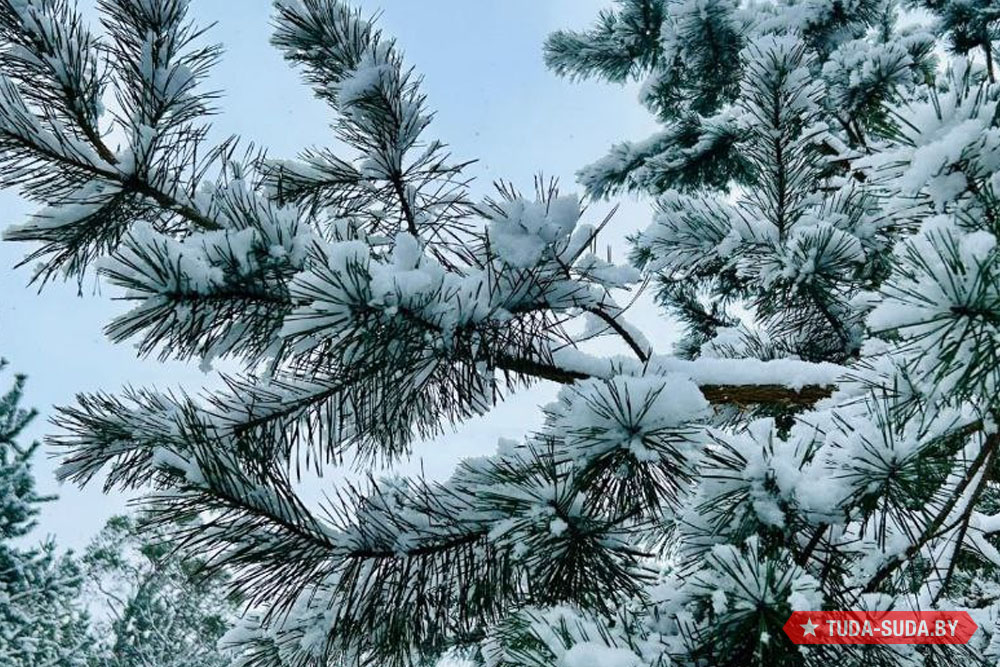 Погода на новогодней неделе напомнит сказку из детства Погода в Беларуси