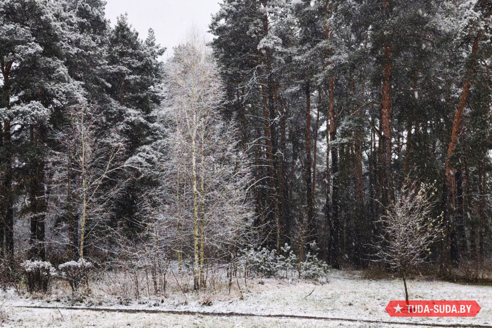Погода в Беларуси