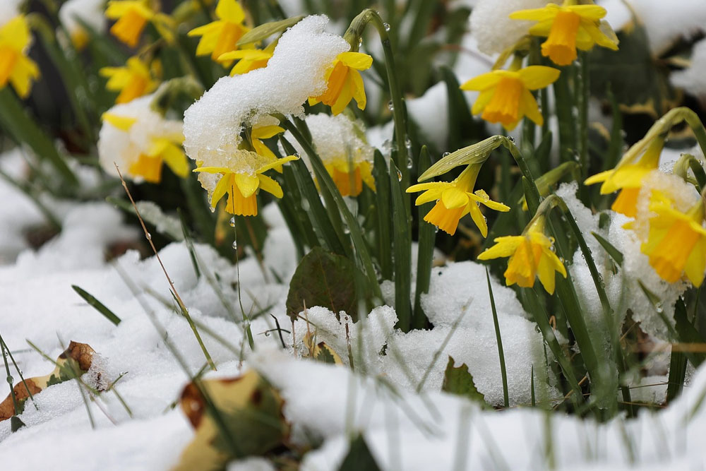 Весна играет с нами в прятки Погода в Беларуси