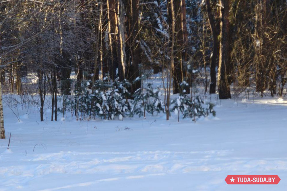 Погода в Беларуси