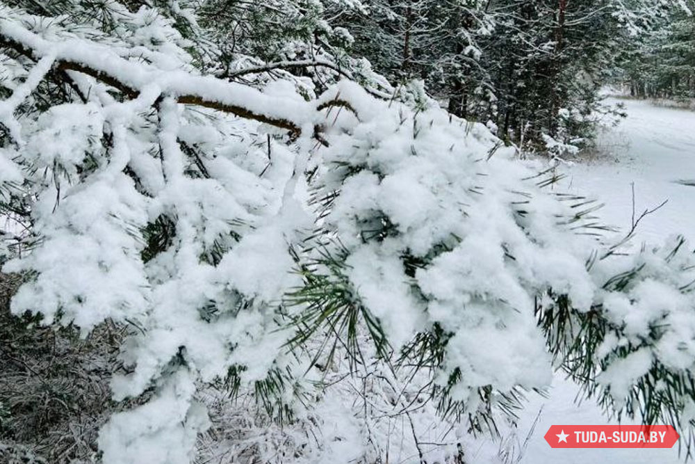 Какой будет белорусская погода в январе Погода в Беларуси