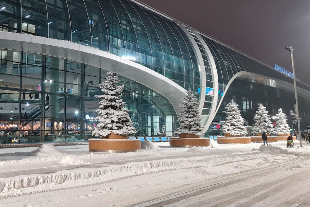 Новым владельцем Домодедово стало Шереметьево Аэропорты Москвы