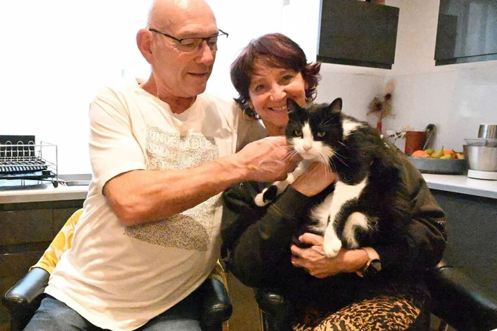 Пропавший во время семейного путешествия кот прошёл 250 км и вернулся домой Кот