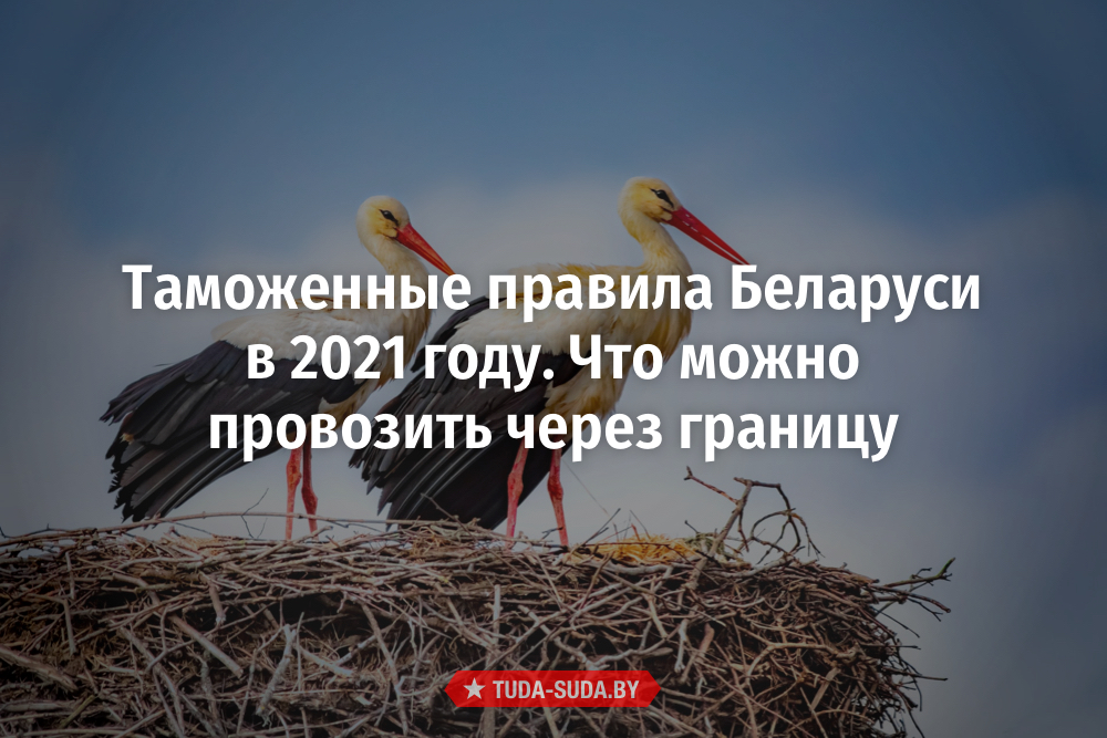 tamozhennye-pravila-belarusi-v-2021-godu-chto-mozhno-i-chto-nelzya-provozit-cherez-granitsu